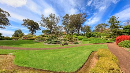 Japanese Garden - Cowra 